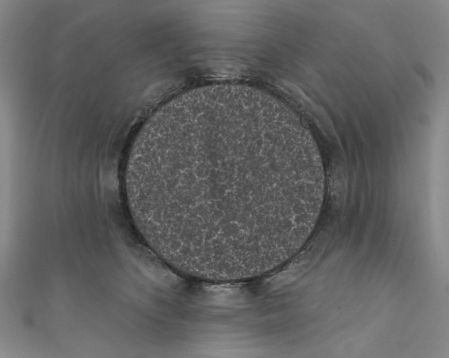 X0000110940516200907171611
