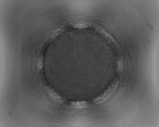 X0000110940517200907171611