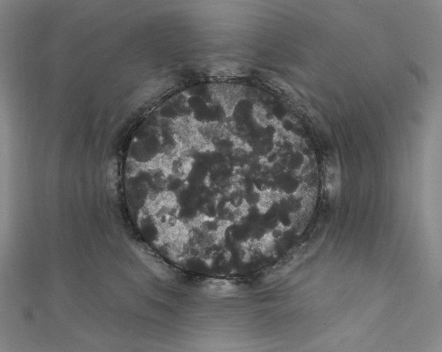 X0000110940519200907171611