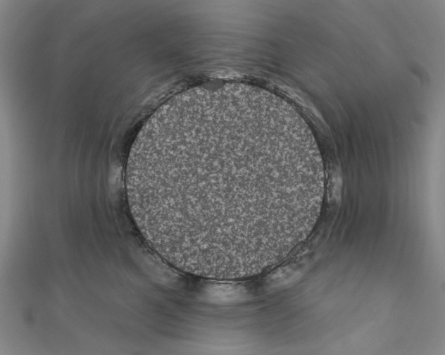X0000110940521200907171611