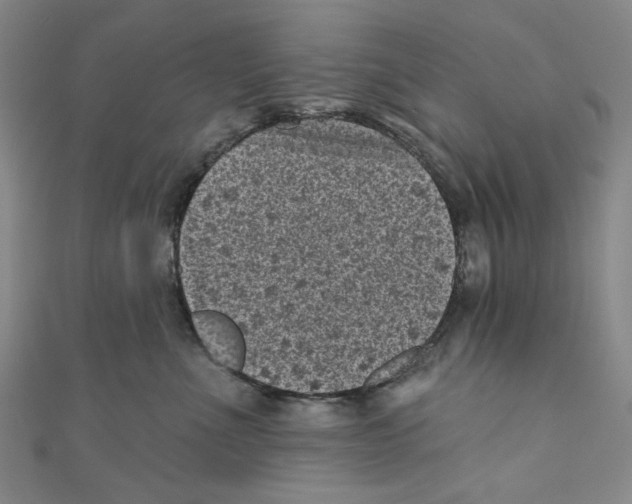 X0000110940523200907171611