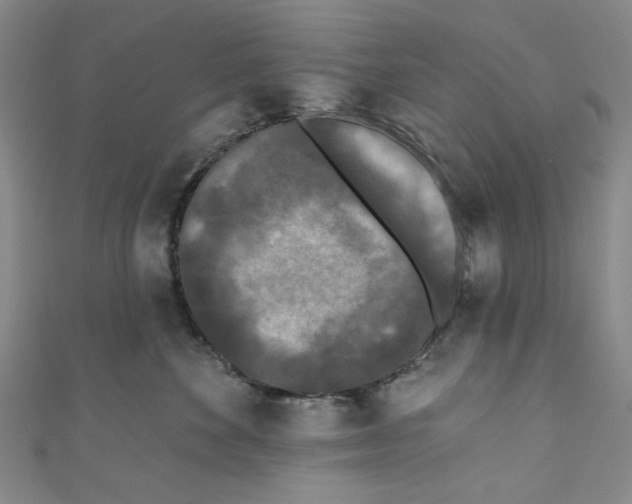 X0000110940524200907171611