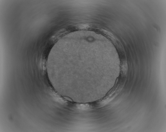 X0000110940525200907171610