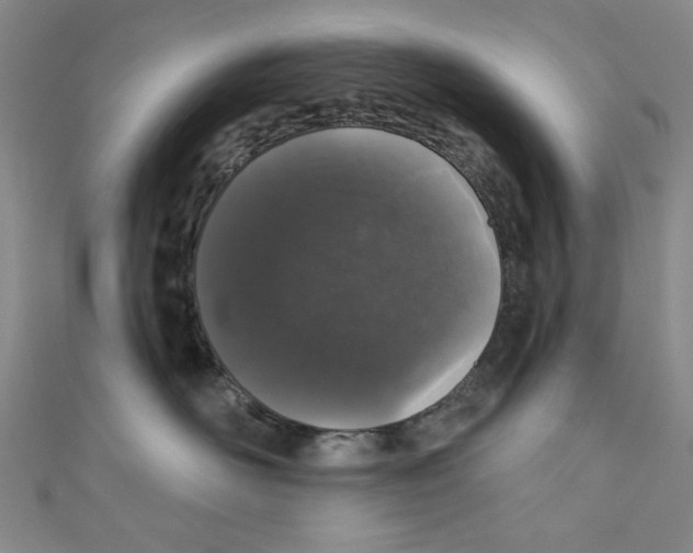 X0000110940526200907171610