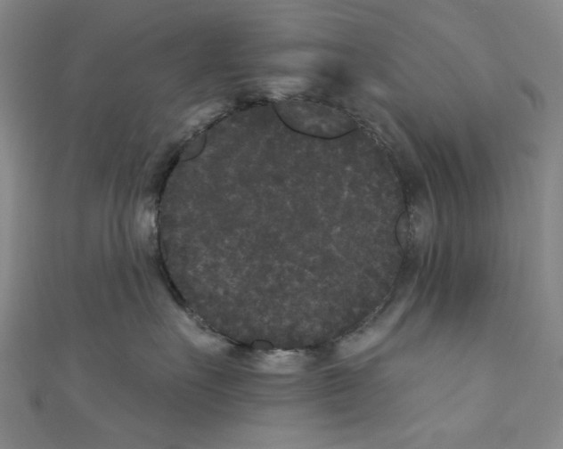 X0000110940527200907171610