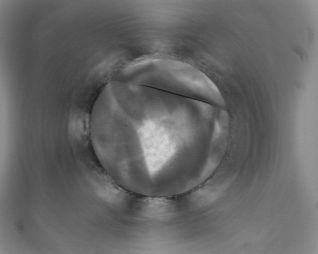 X0000110940528200907171610