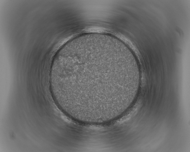 X0000110940529200907171610
