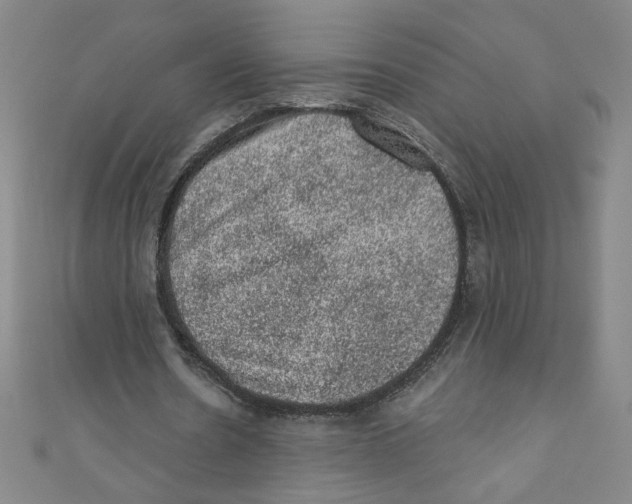 X0000110940530200907171610