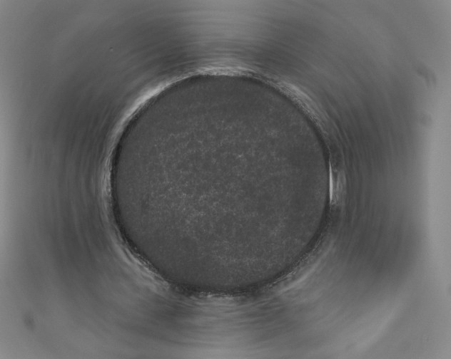 X0000110940531200907171610