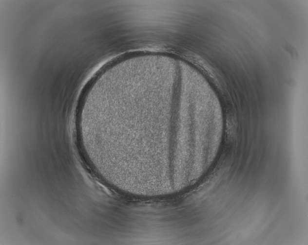 X0000110940532200907171610