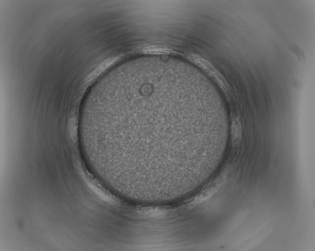 X0000110940533200907171610