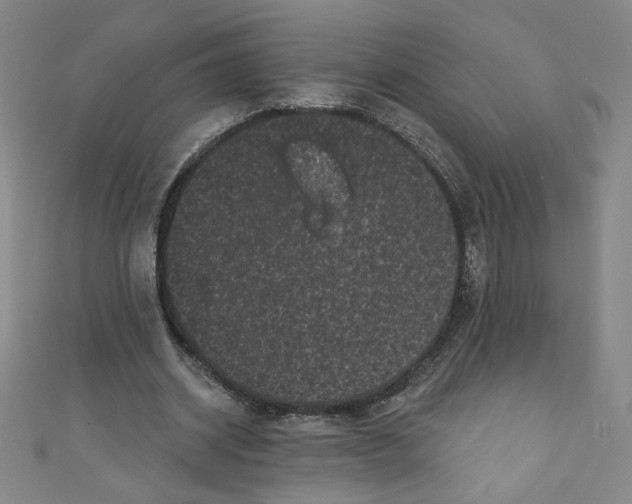 X0000110940534200907171610