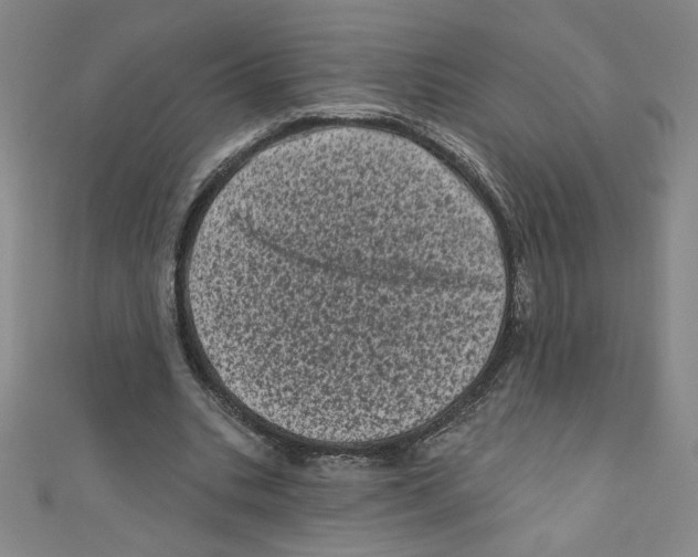 X0000110940535200907171610