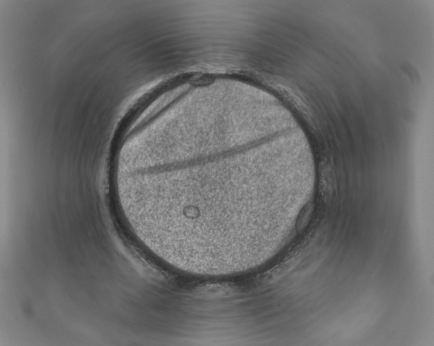X0000110940536200907171610