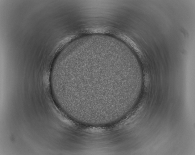 X0000110940537200907171610