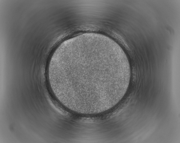 X0000110940538200907171610