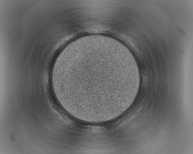 X0000110940539200907171610