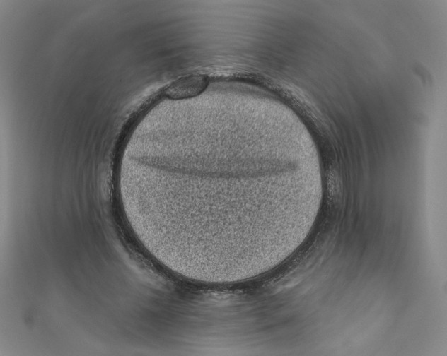 X0000110940540200907171610