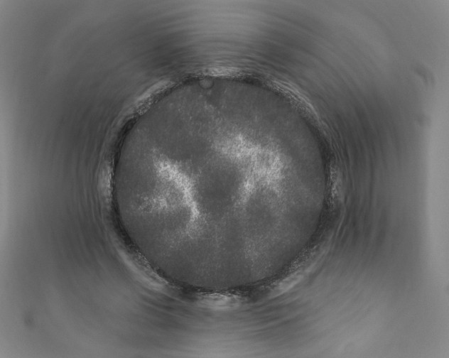 X0000110940542200907171610