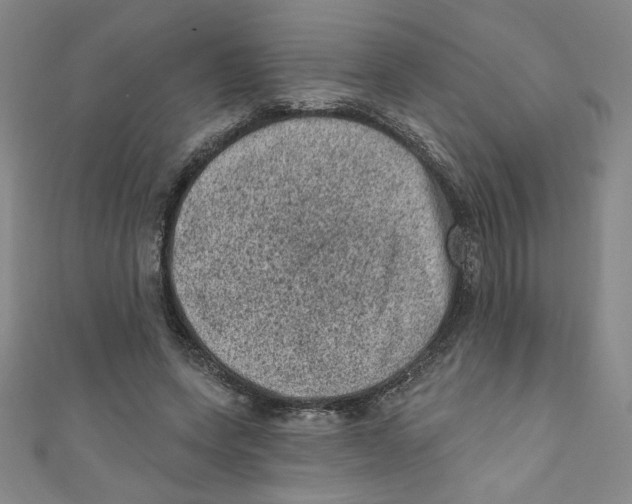 X0000110940543200907171610