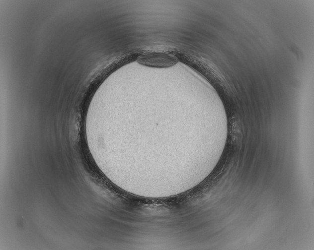 X0000110940544200907171610