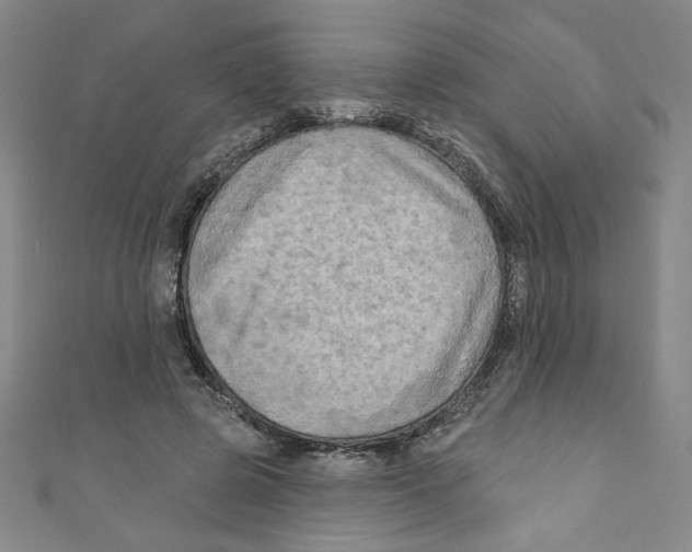 X0000110940545200907171610