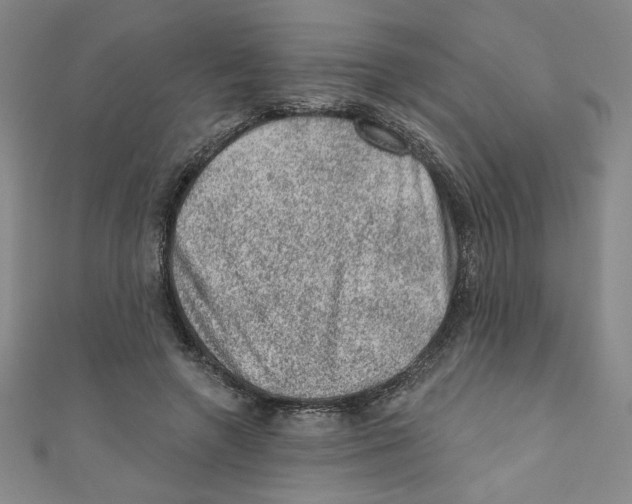 X0000110940546200907171610