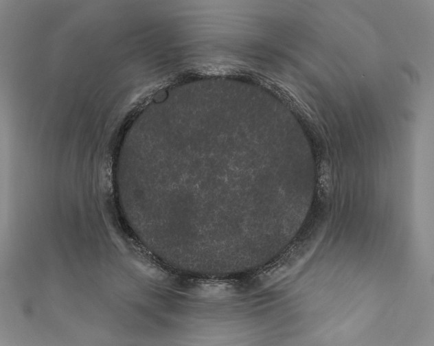 X0000110940547200907171610