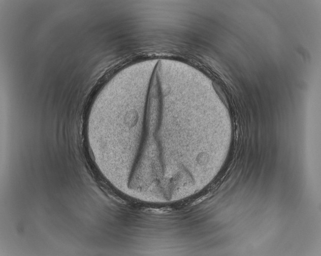 X0000110940548200907171610