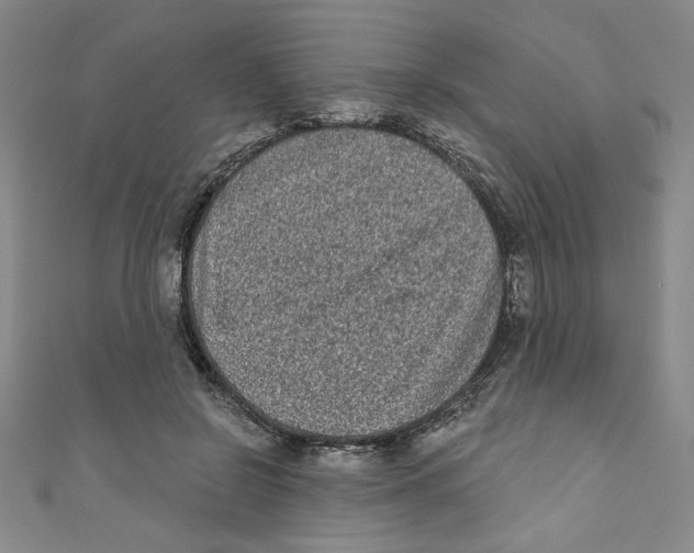 X0000110940550200907171610