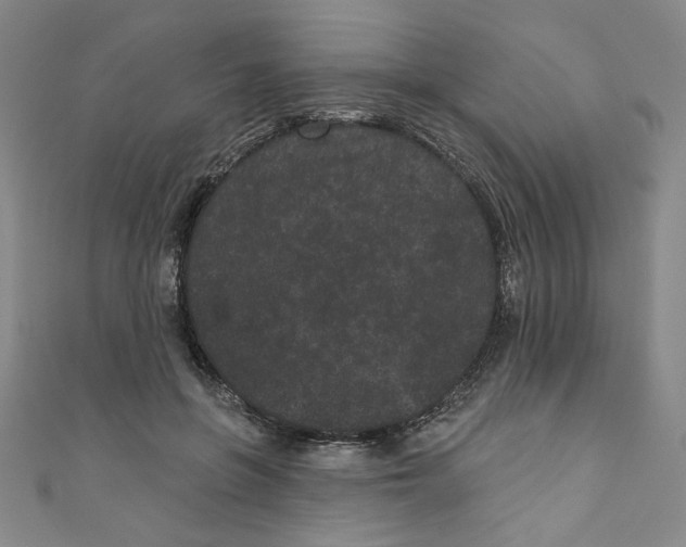 X0000110940551200907171610