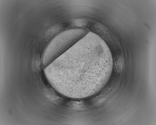 X0000110940552200907171610