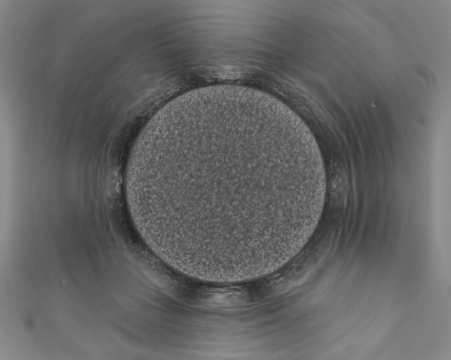 X0000110940555200907171610