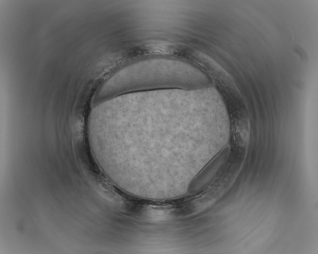 X0000110940556200907171610