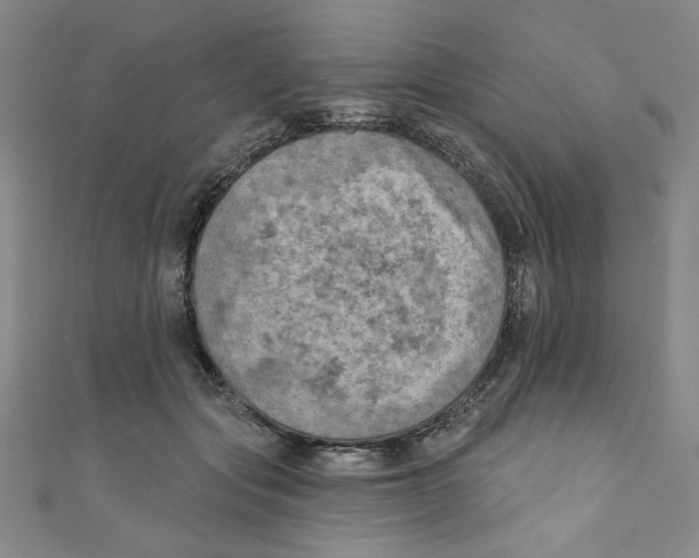 X0000110940557200907171610
