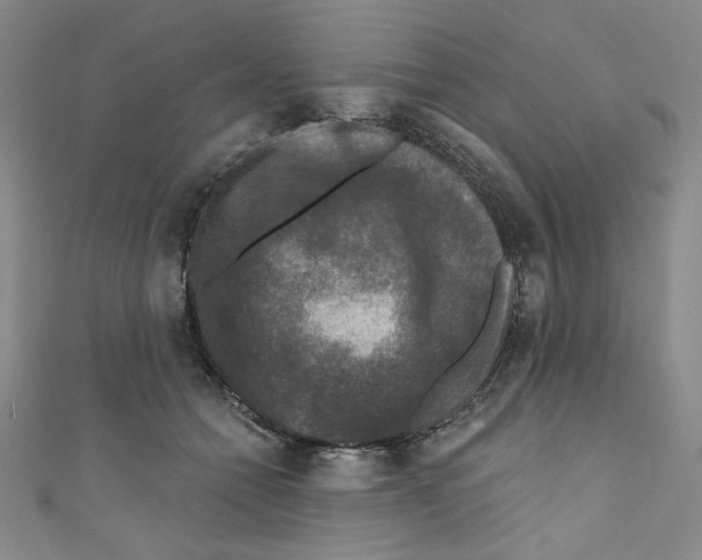 X0000110940558200907171610