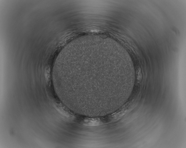 X0000110940559200907171610