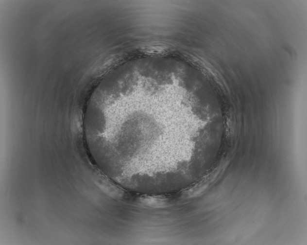X0000110940561200907171610