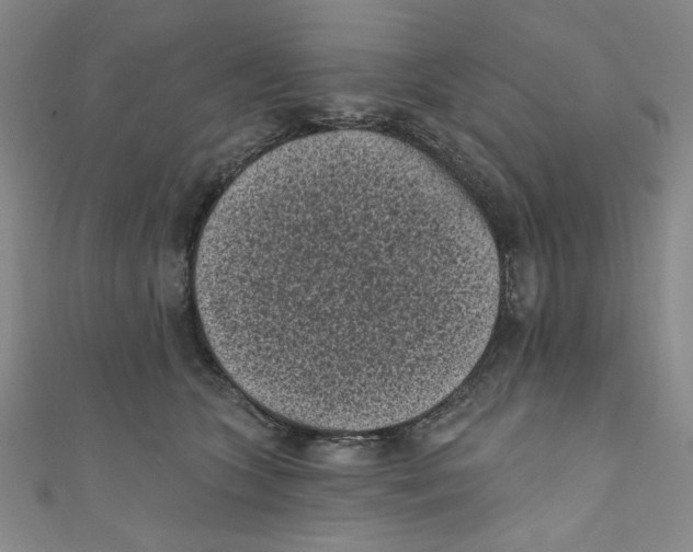 X0000110940563200907171610
