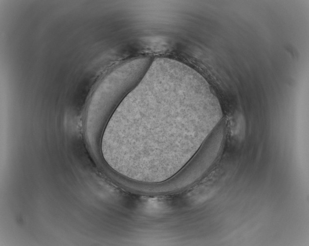 X0000110940564200907171610