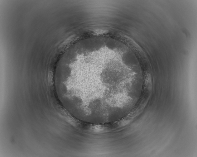 X0000110940565200907171610