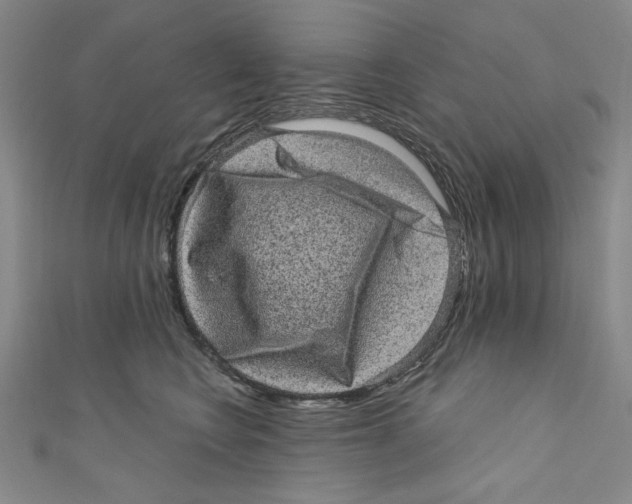 X0000110940566200907171610