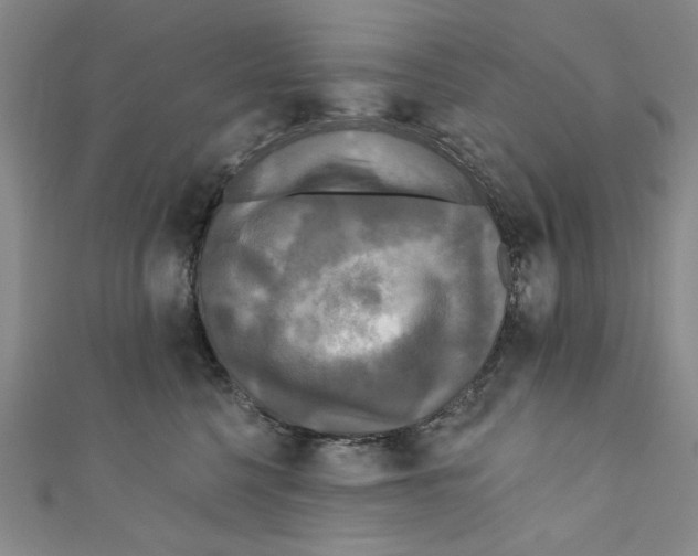 X0000110940568200907171610