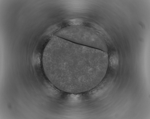 X0000110940570200907171610