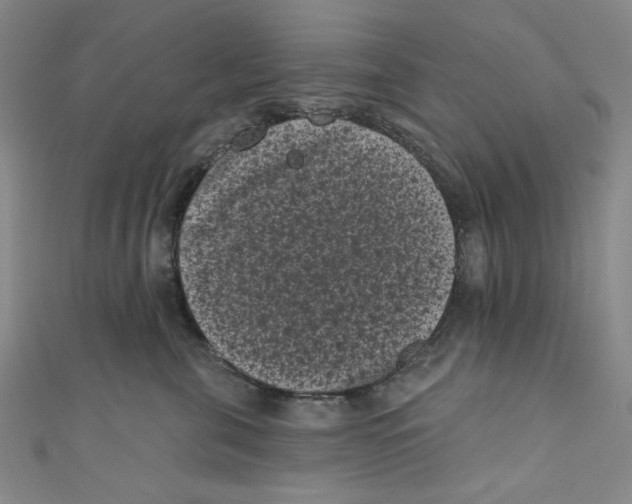 X0000110940571200907171610
