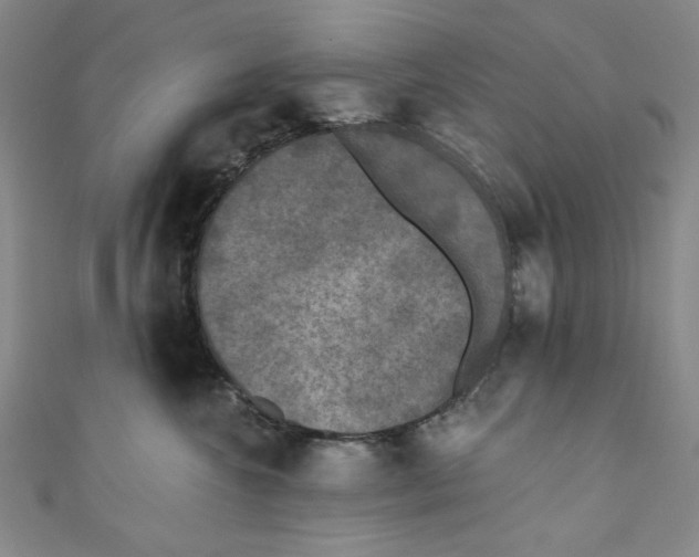 X0000110940572200907171610