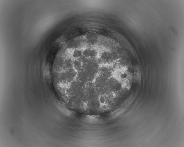 X0000110940573200907171610