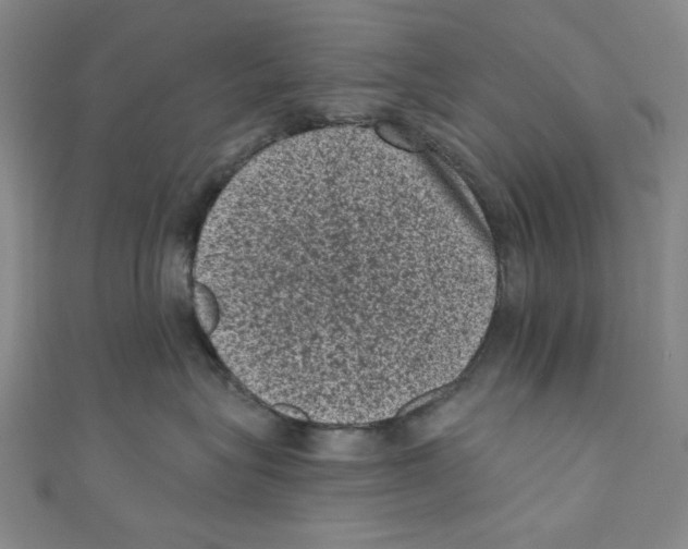 X0000110940575200907171610