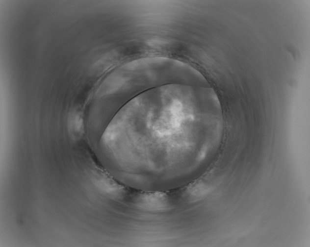 X0000110940576200907171610