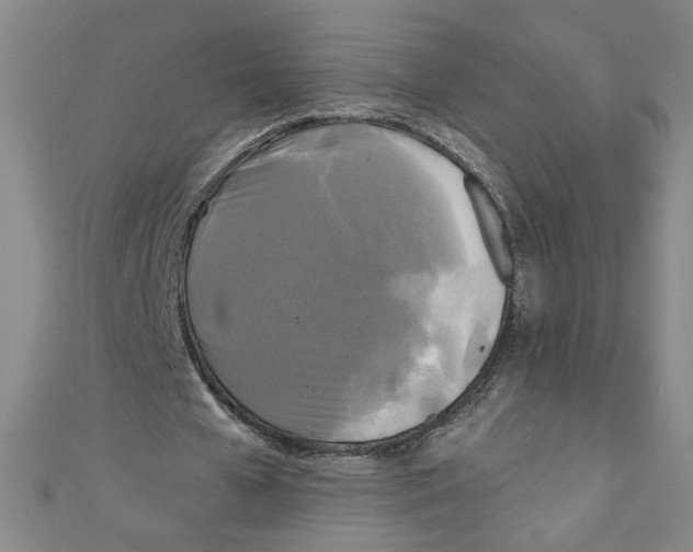 X0000110940577200907171610